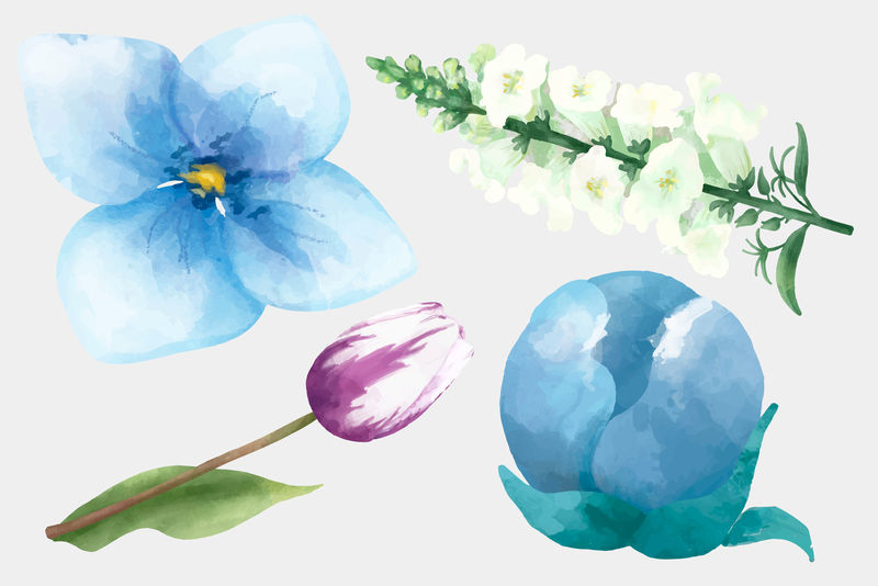 水彩花卉矢量图剪贴画系列