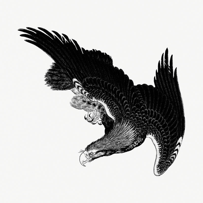 灰白色背景上的老鹰复古插图