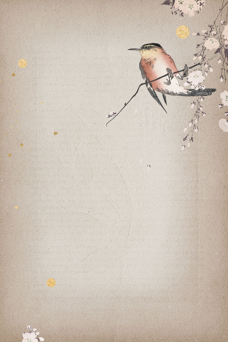 樱花枝上的鸣鸟背景插图