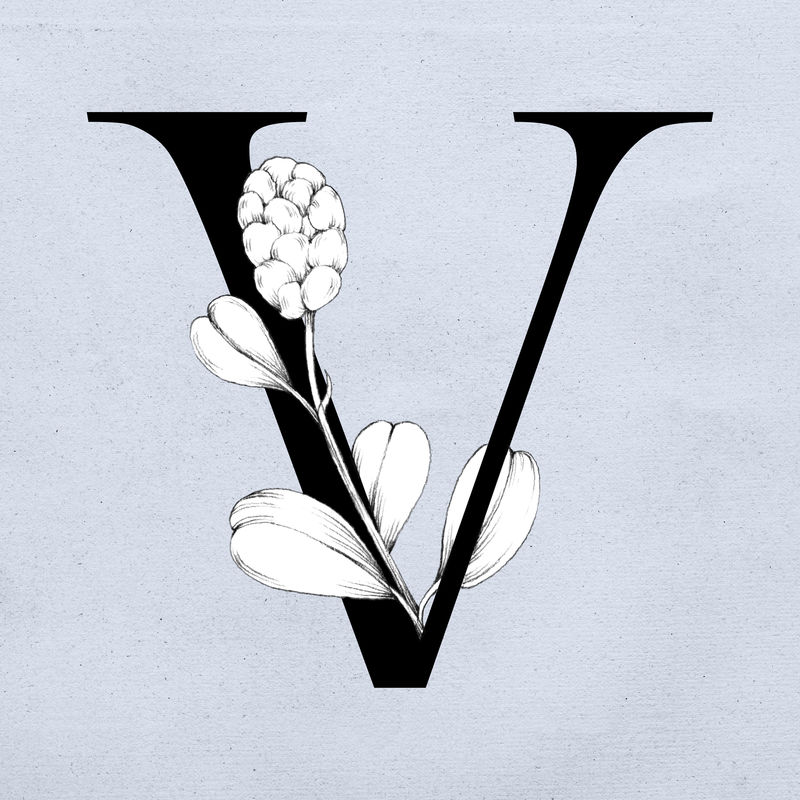 字体v复古字母花卉排版