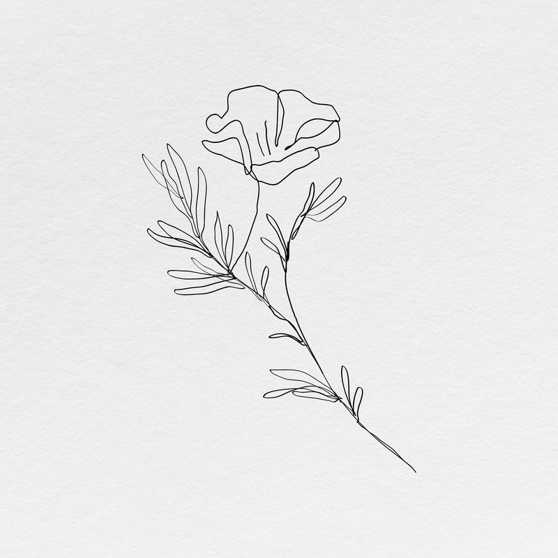 罂粟花psd线条艺术最小黑色插图