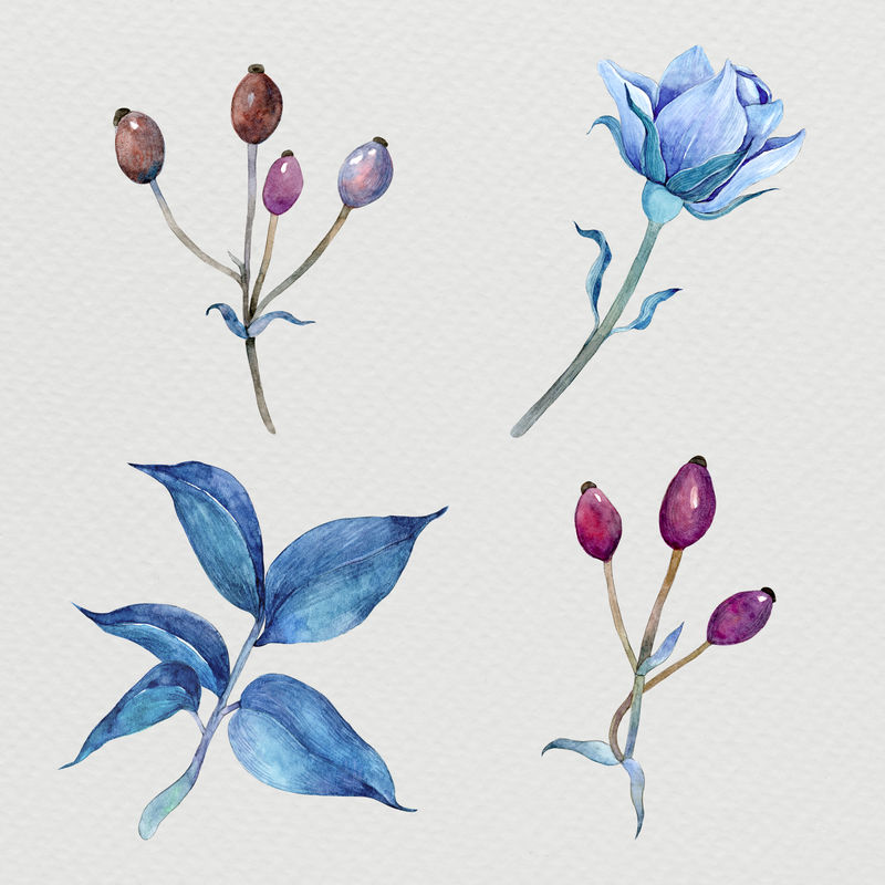 蓝色手绘植物水彩插图