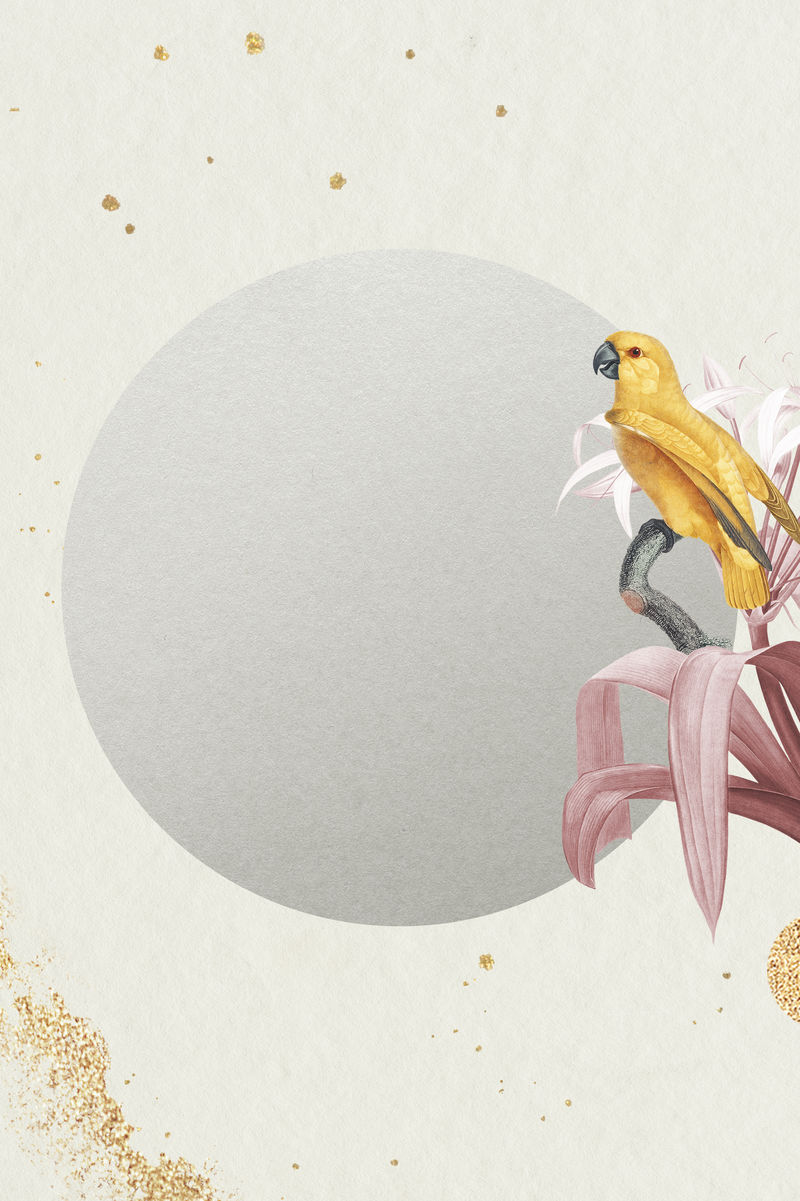黄色塞内加尔鹦鹉和白色百合花圆框