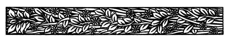 复古黑白叶和花装饰设计元素插图