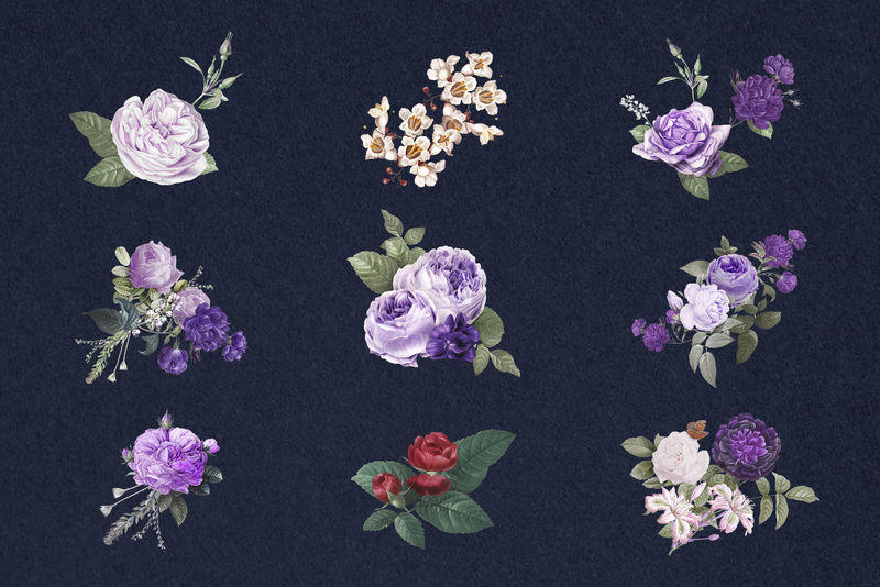 植物紫花psd水彩手绘系列