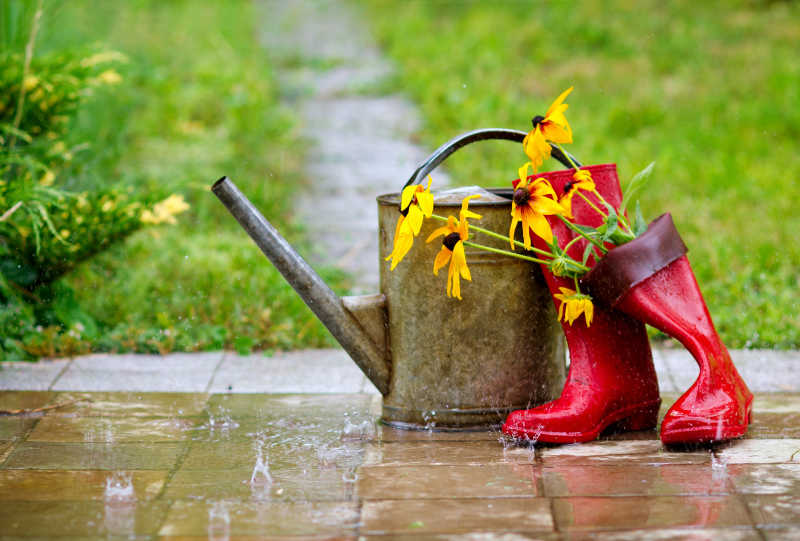 草地背景下插着鲜花的红色雨鞋