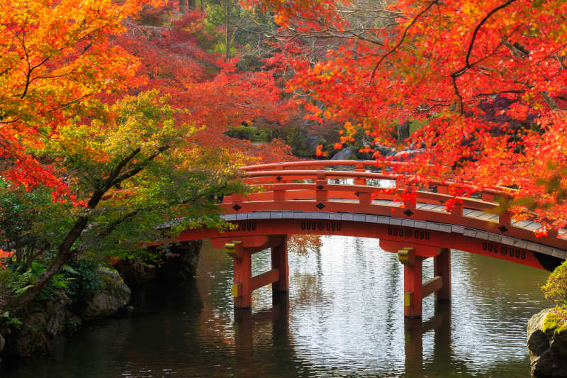 秋天公园里的美丽风景