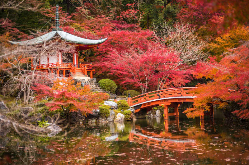 枫木寺大吉寺美丽的红叶风景