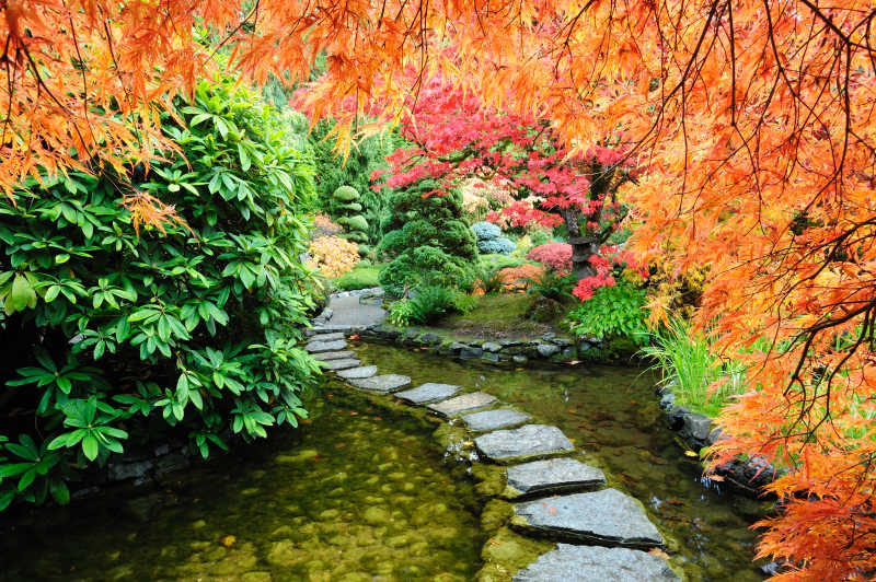 布查特花园秋季风景