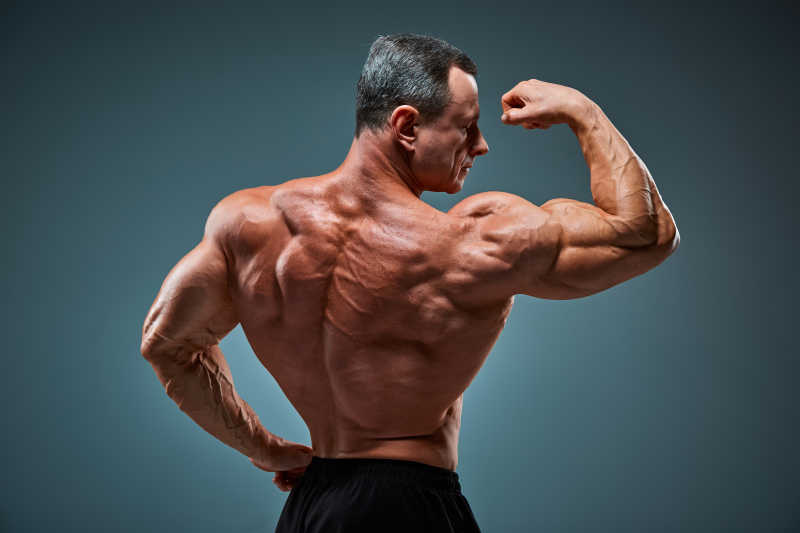 男性健美运动员展示背后肌肉