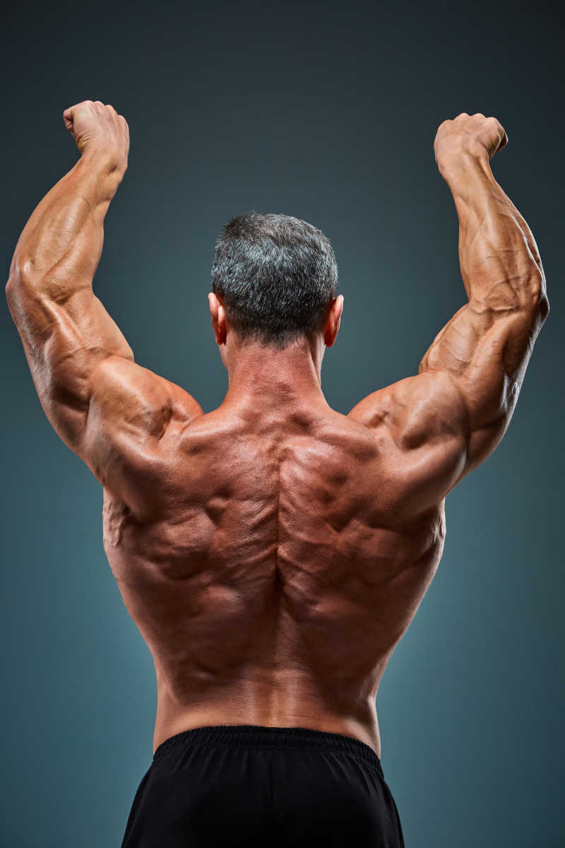 男性健美运动员背后肌肉