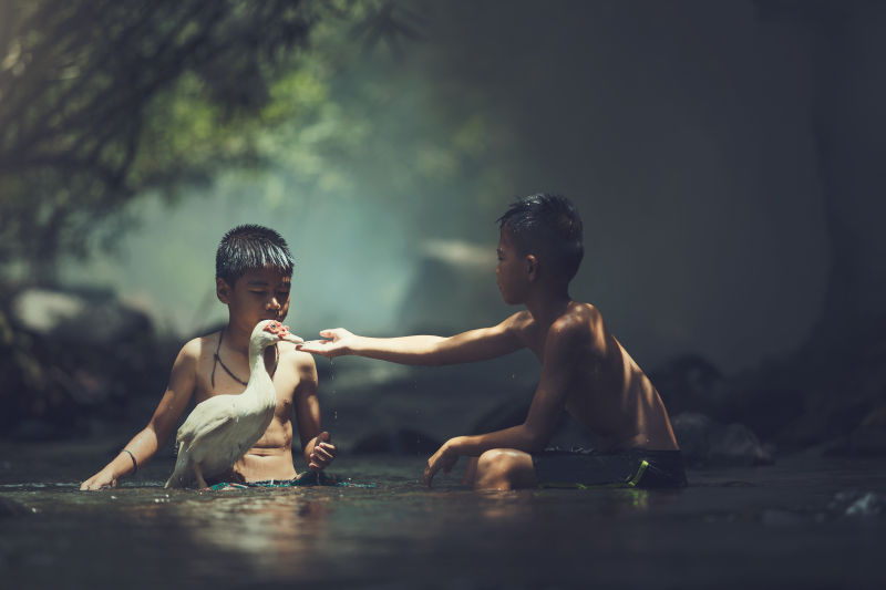 两个男孩在河里玩着白鸭子
